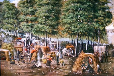 The Miracle of the Quail by School American