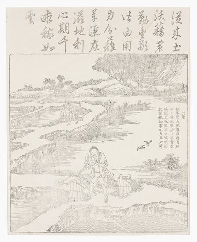 Fertilizing the Rice Seedlings by School Chinese