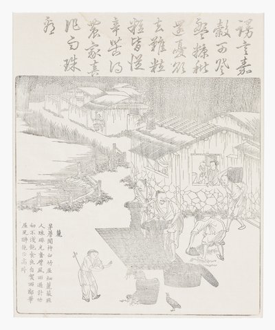 Sifting the Rice by School Chinese