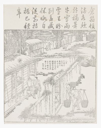 Storing the Rice by School Chinese
