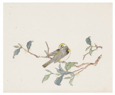 Ten Bamboo Series by School Chinese