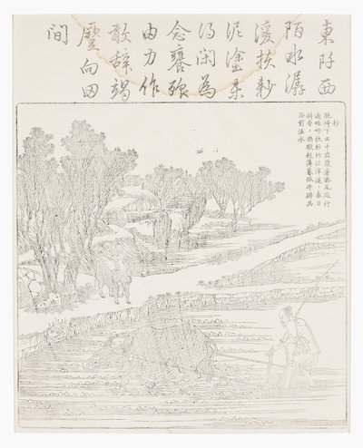 Tilling Rice Paddy in Dry Weather by School Chinese