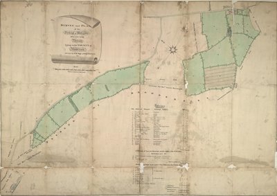 Map of Willesden, London (litho) by School English