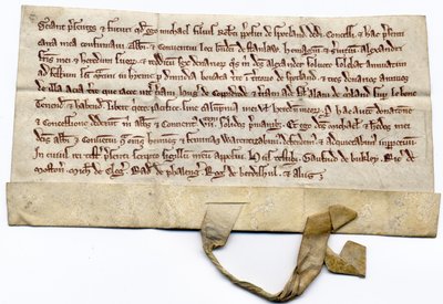 Medieval Deeds by School English