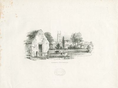 Tamworth by School English