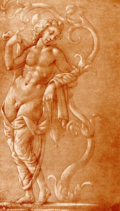 Young man leaning on a vine by School Florentine