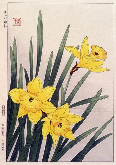 Close Daffodils - Japanese print by Japanese School