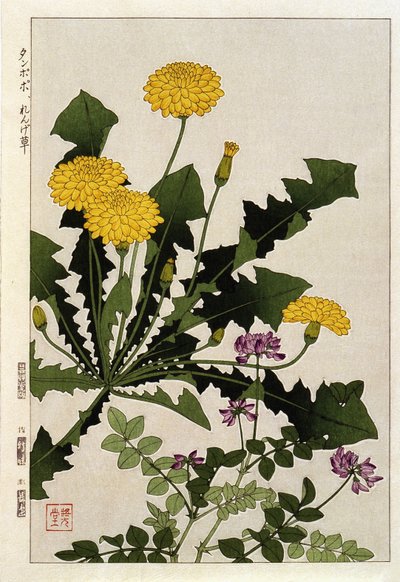 Dandelion flowers - Japanese print by Japanese School