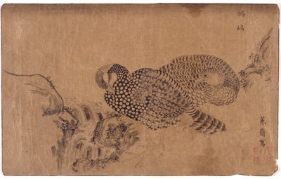 Two Birds by School Japanese