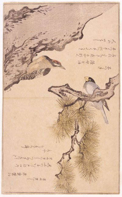 Two Birds on a Tree by School Japanese