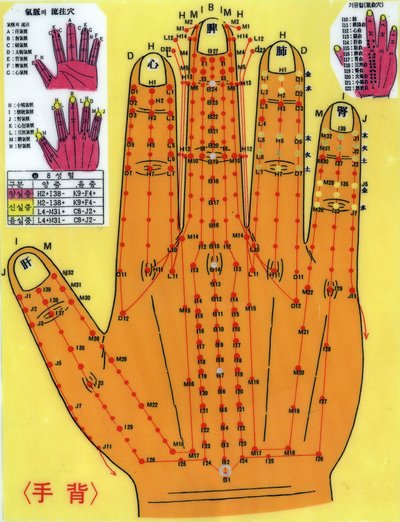 Korean acupuncture board by School Korean