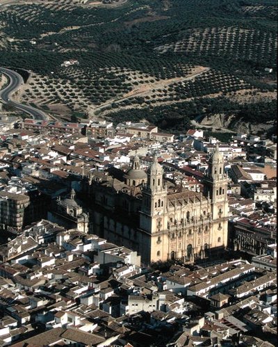 Aerial view of Jaen Cathedral by School Spanish