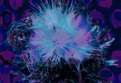 Artichoke by Scott J. Davis