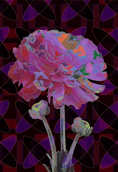Carnation, 2019 by Scott J. Davis