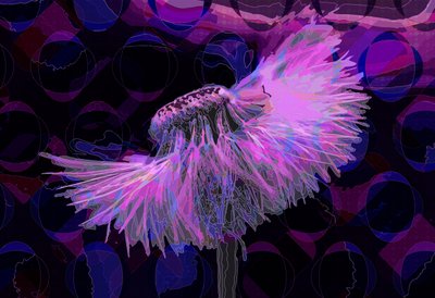 Dandelion, 2019 by Scott J. Davis