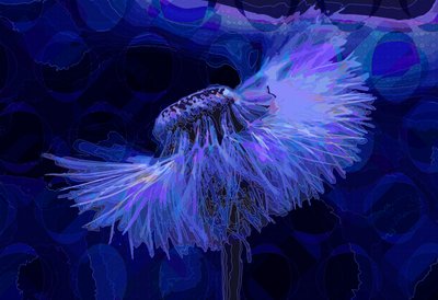 Dandelion by Scott J. Davis