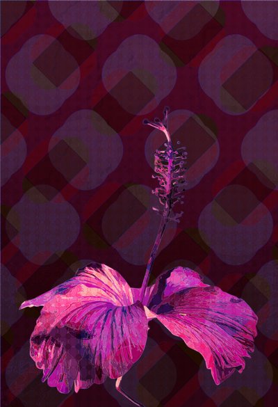Hibiscus, 2019 by Scott J. Davis