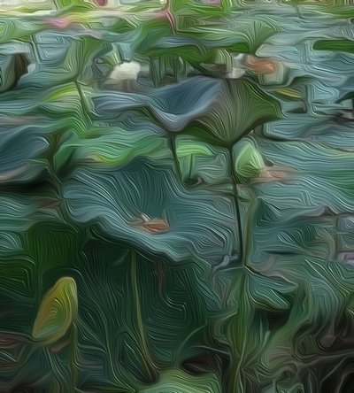 Lily Pond by Scott J. Davis