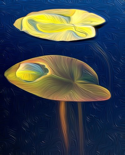 T_Lily by Scott J. Davis