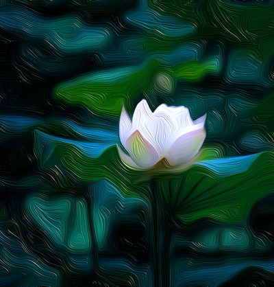 White Lily by Scott J. Davis