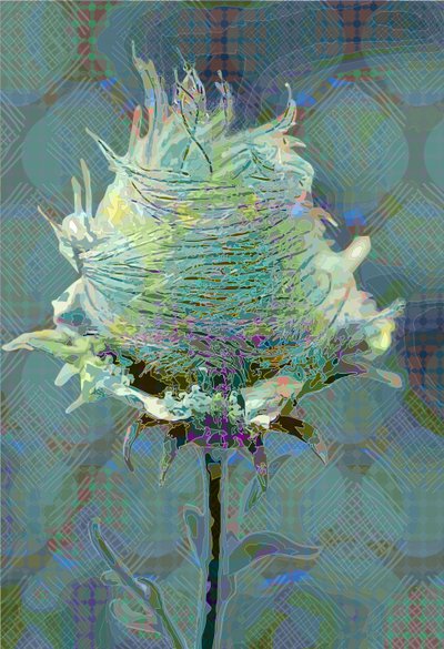 Wood Avens3, 2019 by Scott J. Davis