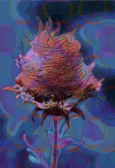 Wood Avens, 2019 by Scott J. Davis