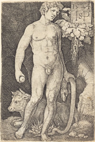 Adam Standing by Sebald Beham