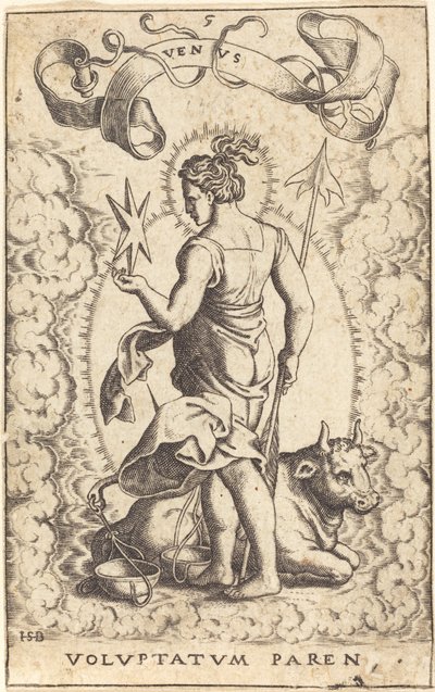 Venus by Sebald Beham