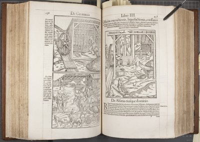 Cosmographia, Fol 436-437 by Sebastian Munster