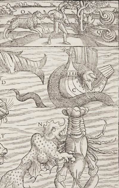 Cosmographia, Fol 853, 1544 by Sebastian Munster