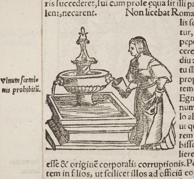 Cosmographia, detail of Fol 202 by Sebastian Munster