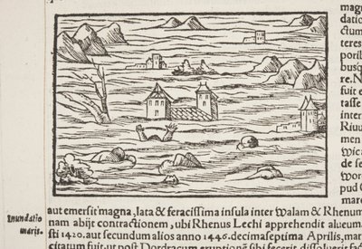 Cosmographia (detail) by Sebastian Munster