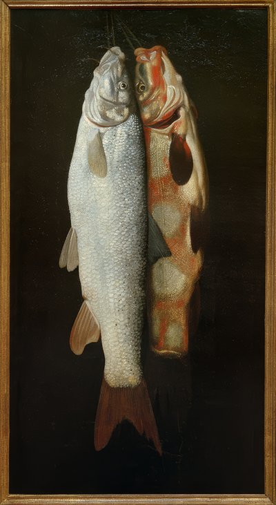 Fish Still Life by Sebastian Stosskopf