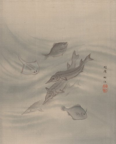 Fishes by Seki Shuko