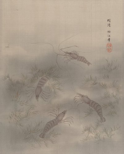 Shrimp Ebi, ca. 1890-92 by Seki Shuko