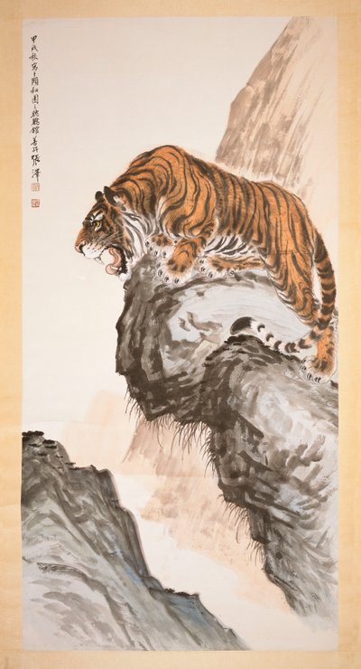 Tiger by Shanzi Zhang
