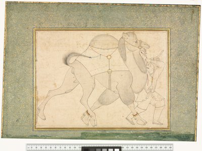 Camel and Groom by Shaykh Muhammad