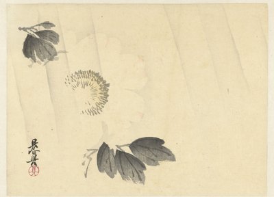 White Peony in the Rain by Shibata Zeshin