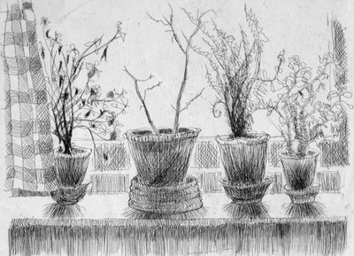 Dead plants on a windowsill by Shirley Markham