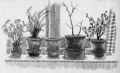 Dead Plants on a Windowsill by Shirley Markham