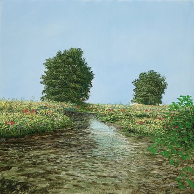BBB-Tree-Brook-Picture by Silvian Sternhagel
