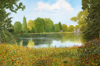 Park View by Silvian Sternhagel