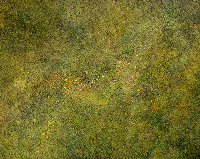 Meadow Flight by Silvian Sternhagel