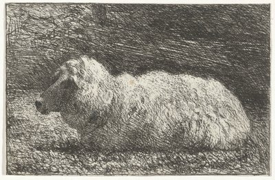 Lying Sheep by Simon Andreas Krausz
