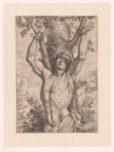 Saint Sebastian Tied to a Tree by Simon Francois