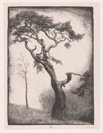 Pine Tree by Simon Moulijn (signed by artist)