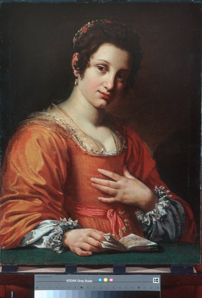 Portrait of a Young Lady by Simon Vouet