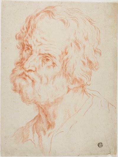 Male Head by Simone Cantarini