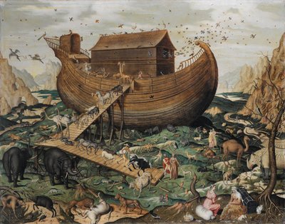 Noah