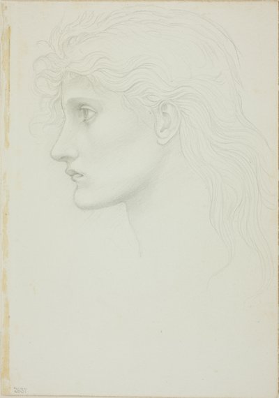 Head of Girl Facing Left by Sir Edward Burne Jones